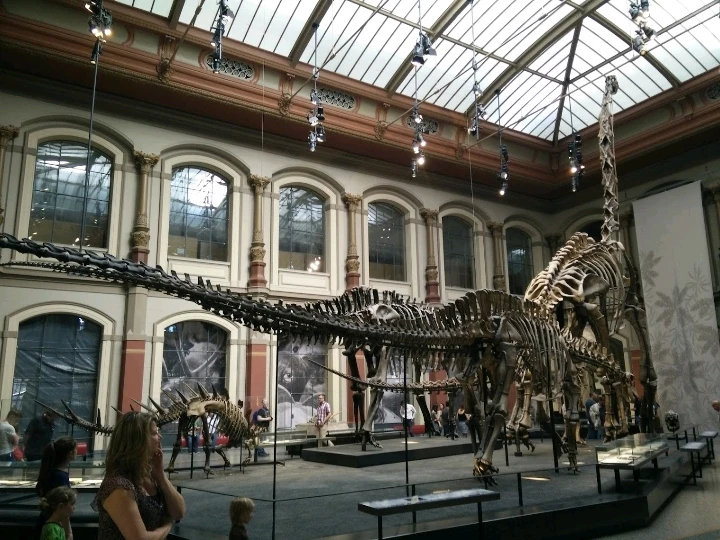 Bild hochgeladen von Herbert = ᚺᛖᚱᛒᛖᚱᛏ