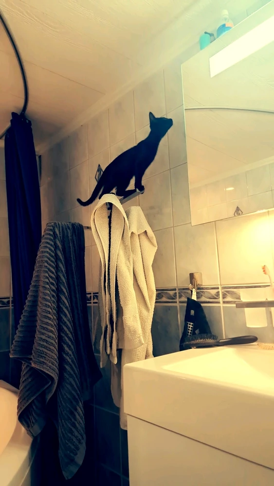 Bild uppladdad av Nova