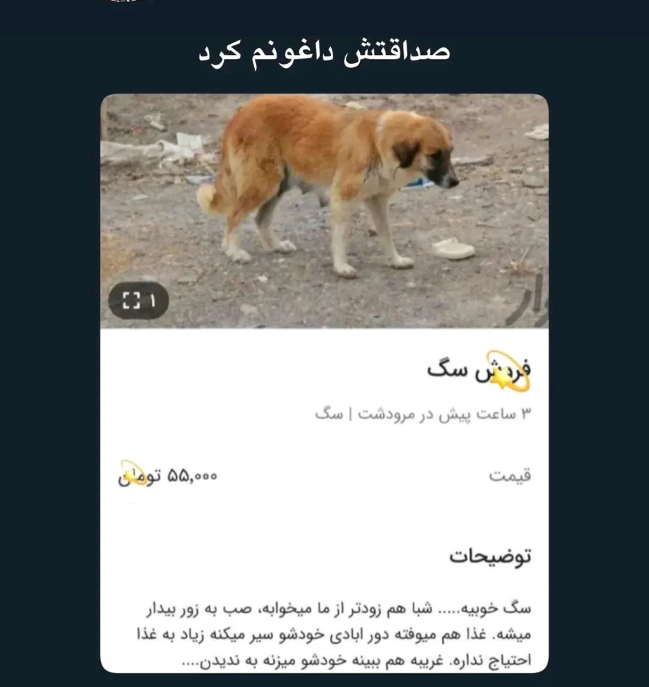 تصویر آپلود شده توسط Mohammad