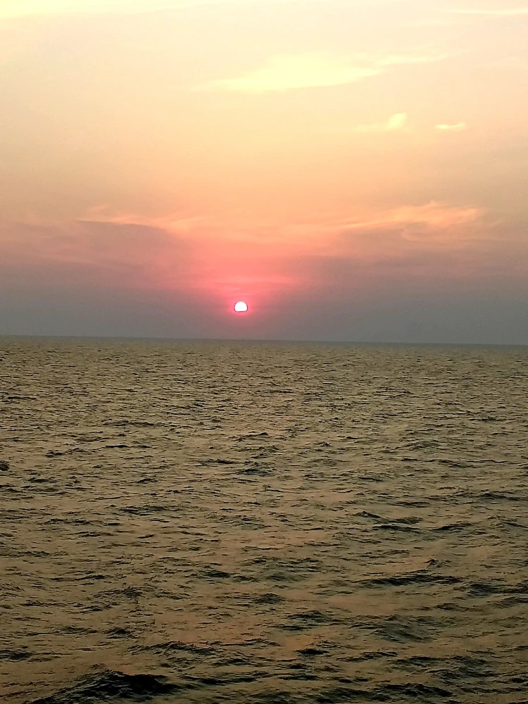 Image uploaded by Tarun