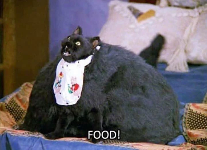 Εικόνα από Dimos