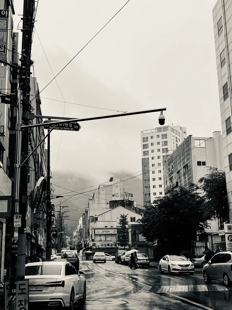 Julian님이 올린 사진