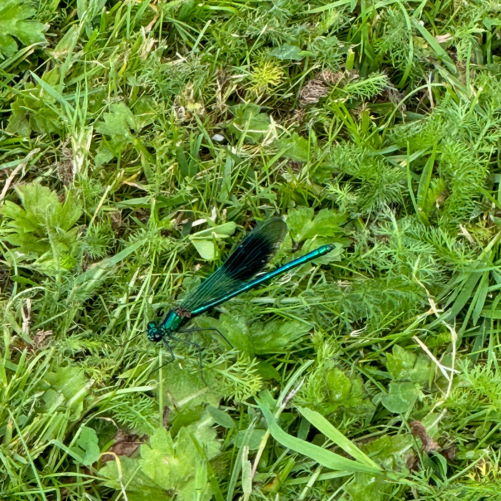 Image uploaded by Steffen