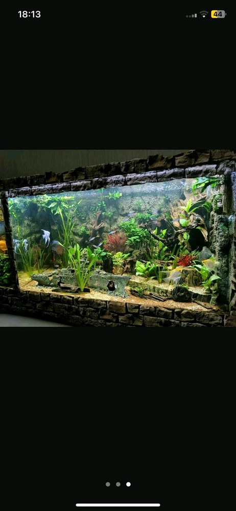 Afbeelding geüpload door 🦋Spiritual Dutch Girl🦋