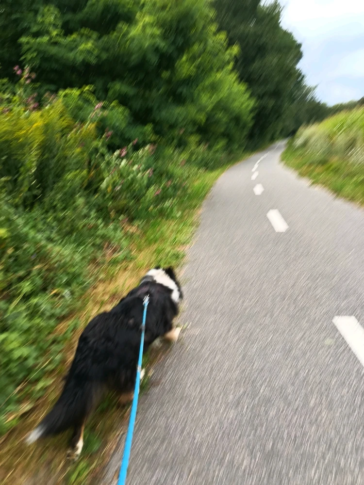 Obrázek nahrál Adkrm