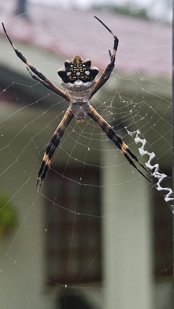 Imagem enviada por Gusta