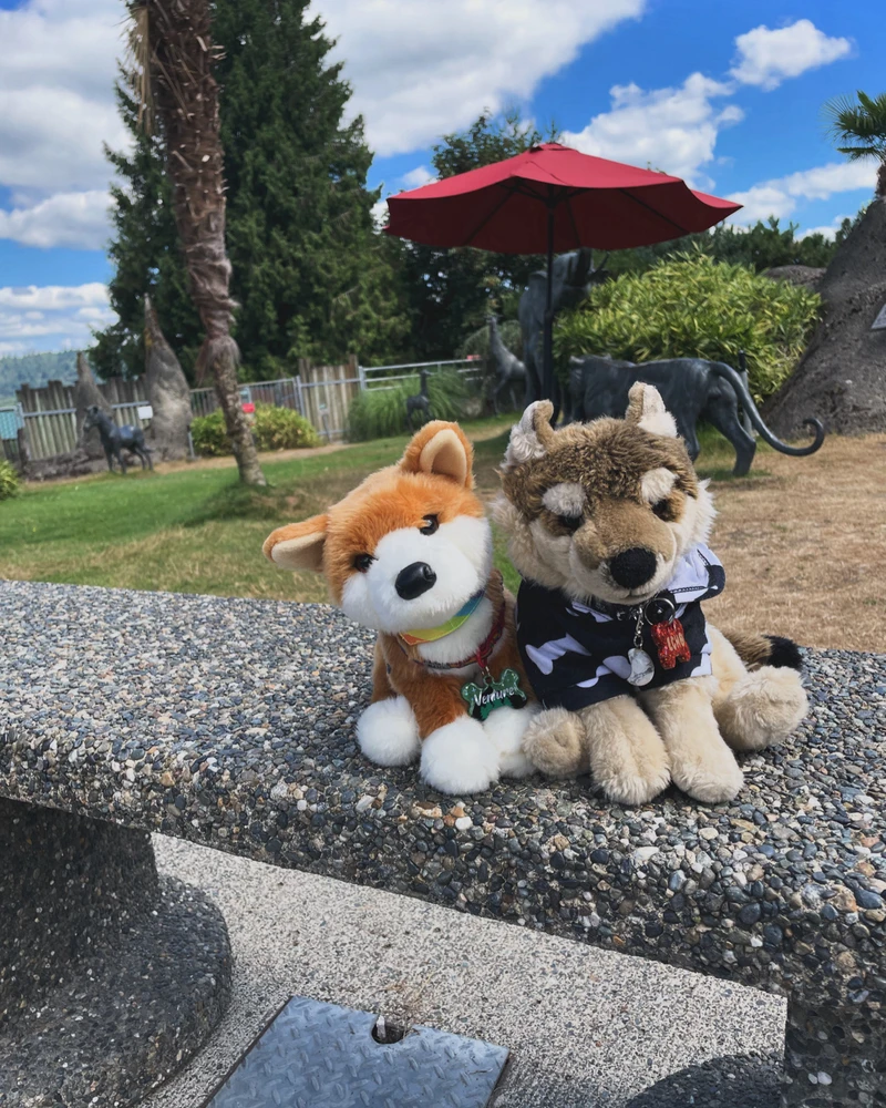 Image uploaded by Shadow