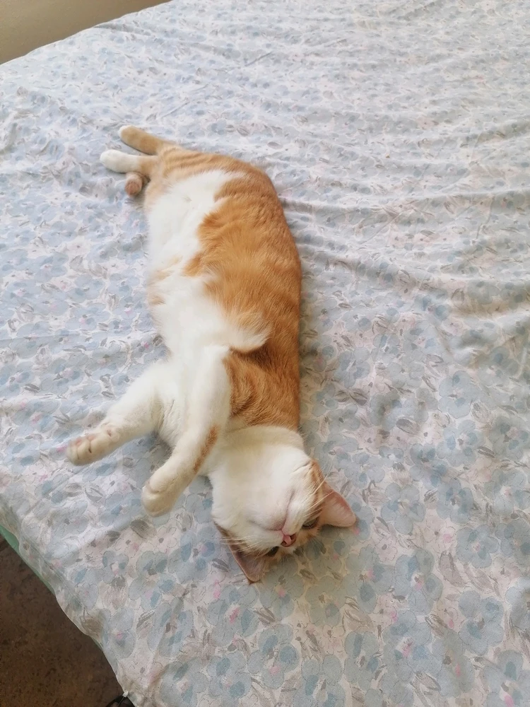 Hasan tarafından yüklenen görsel