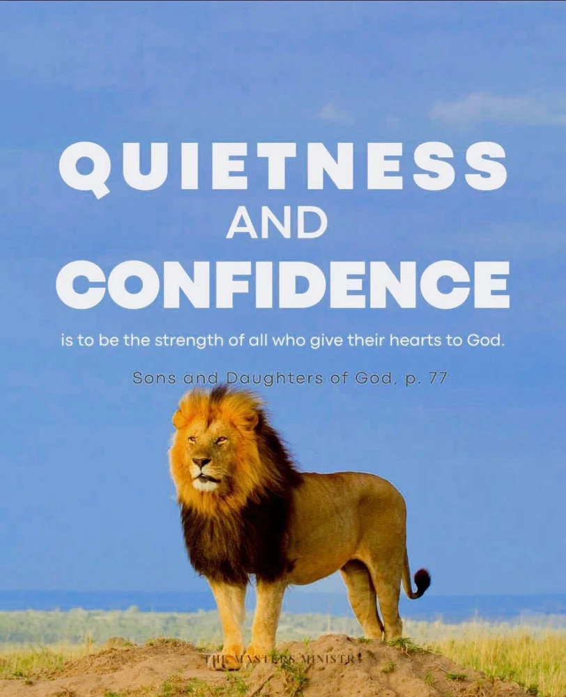 Image uploaded by Gentle Giant