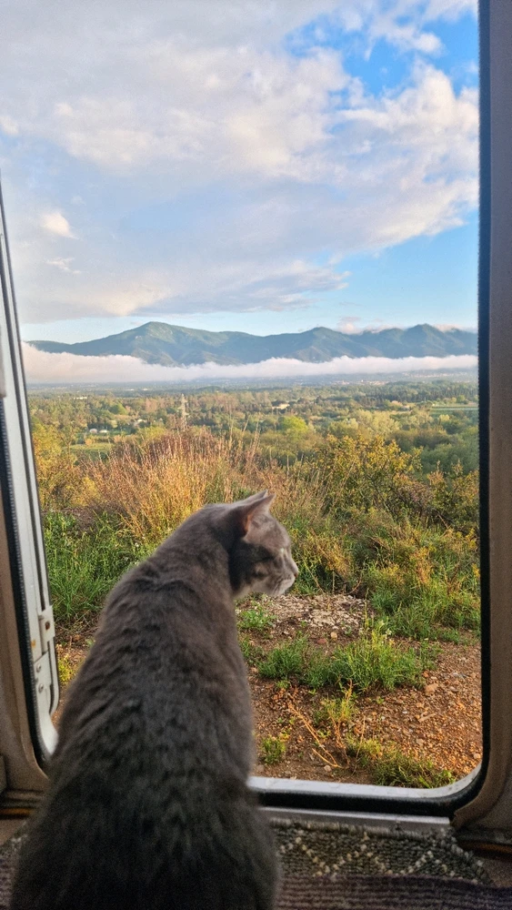 Image uploaded by Tristan