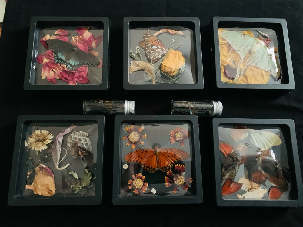 Image uploaded by Amanda