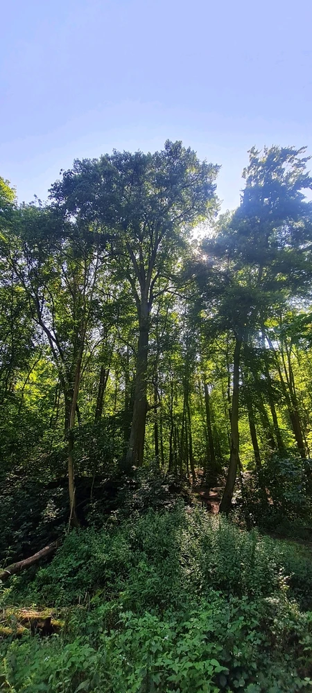 Bild hochgeladen von Peter