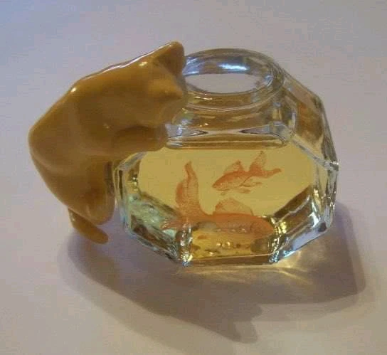 Image uploaded by Sarah