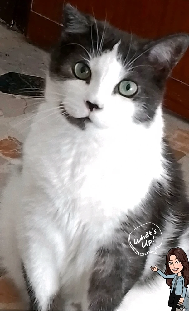 Immagine caricata da Chiara