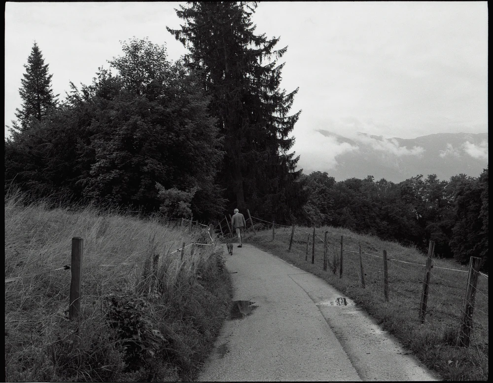 Obrázek nahrál Irónia