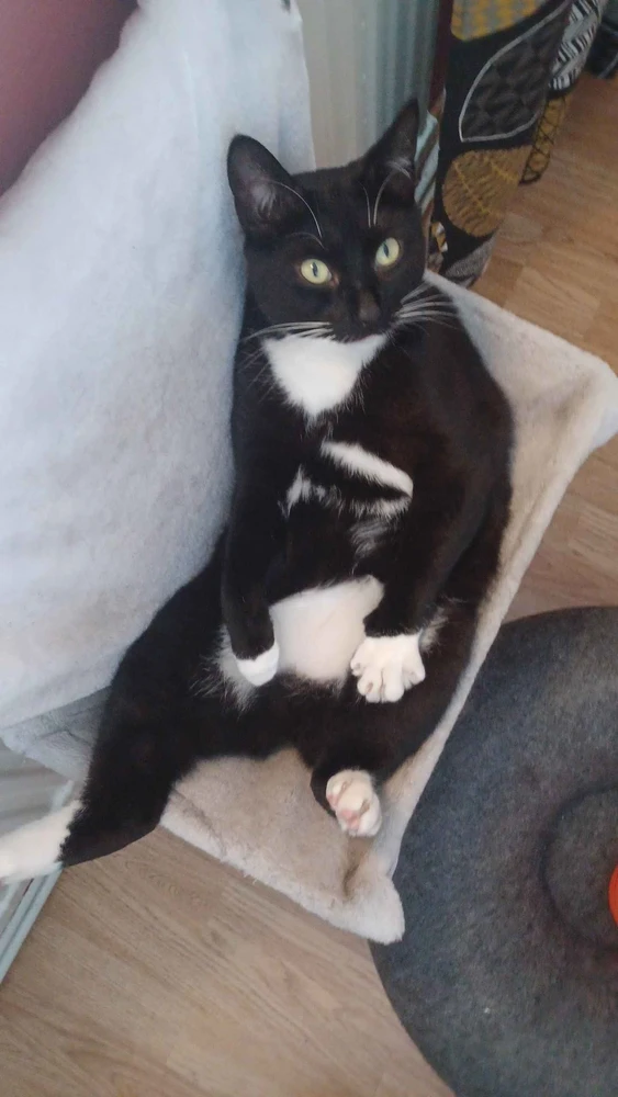 Bild uppladdad av Oskar