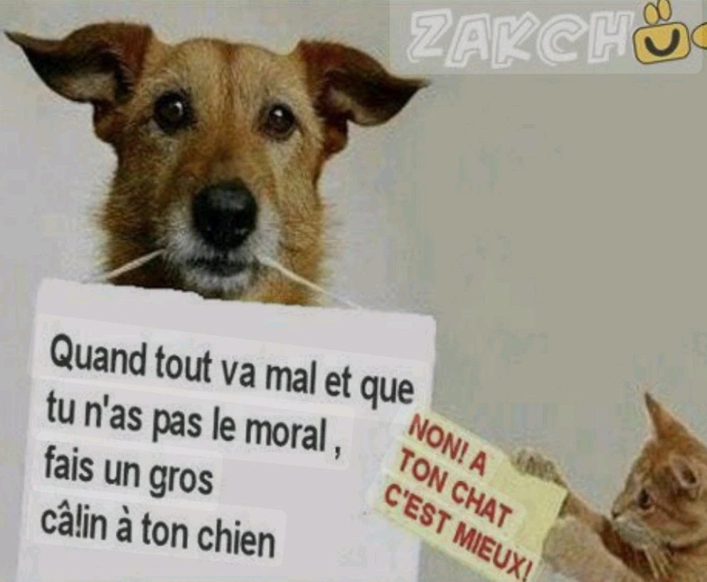 Image ajoutée par ElfeDouce