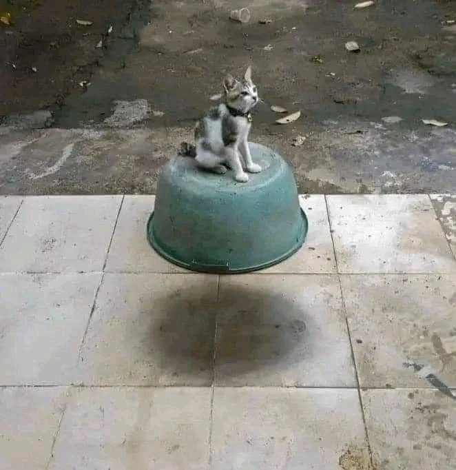 Image uploaded by J҉ o҉ r҉ d҉ a҉ n҉
