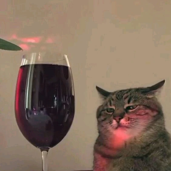Imagem enviada por Ju