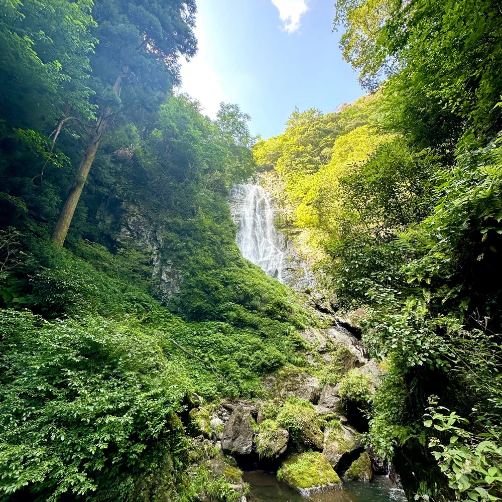 Renがアップロードした画像