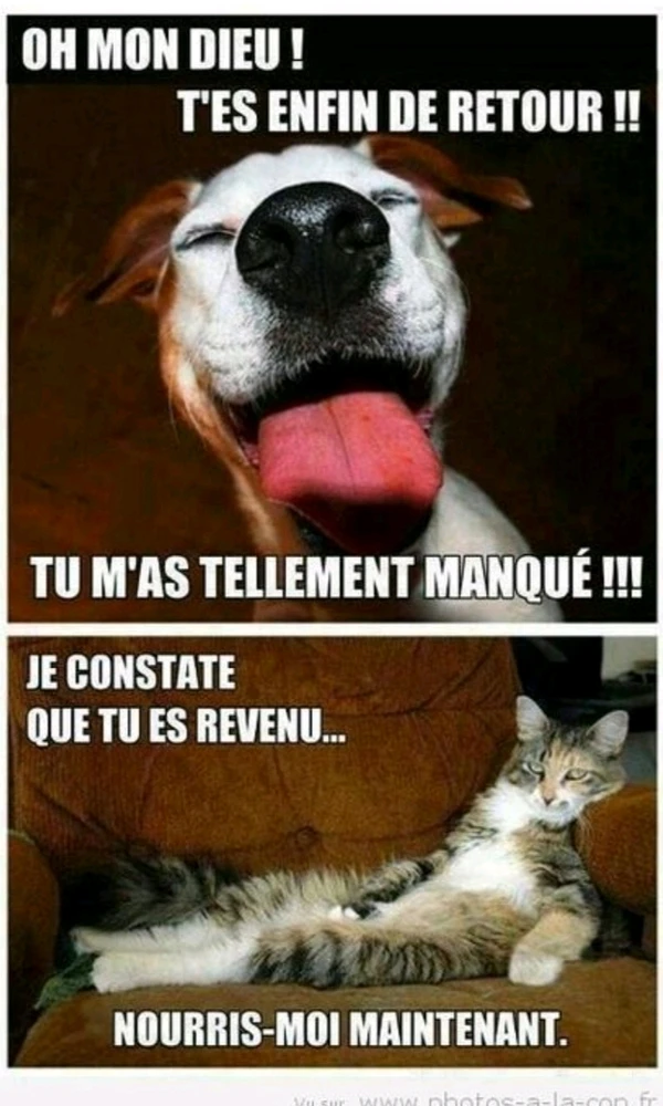 Image ajoutée par ElfeDouce