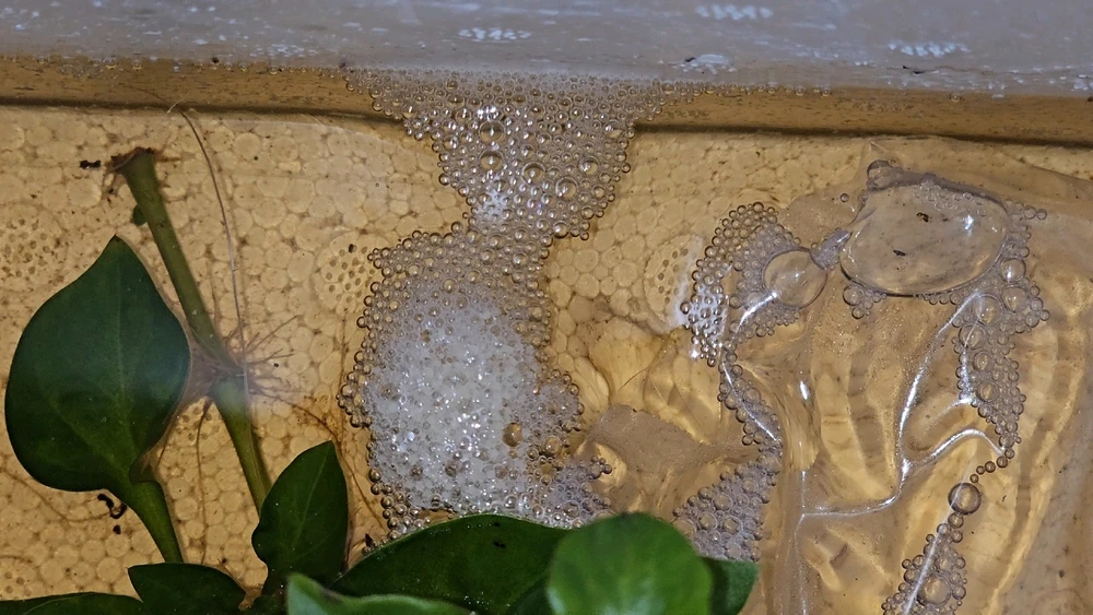 รูปที่อัพโหลดโดย Cocktail