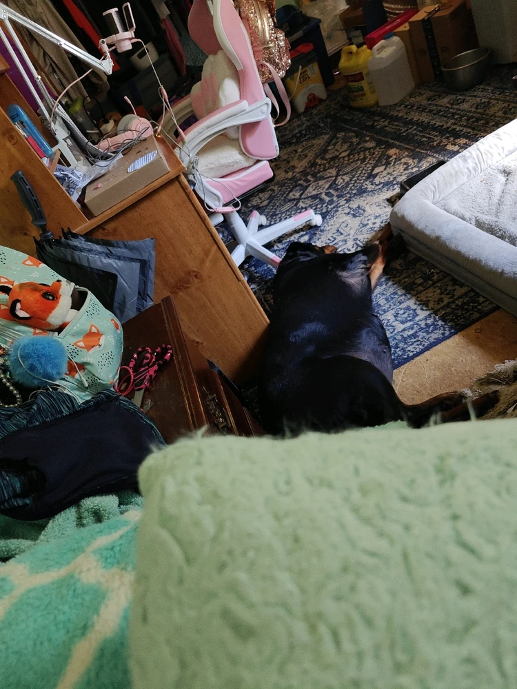 Image uploaded by BelovedDaughterOfGod