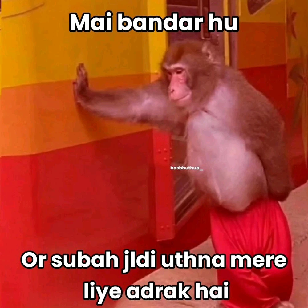 Image uploaded by Mani Rastogi