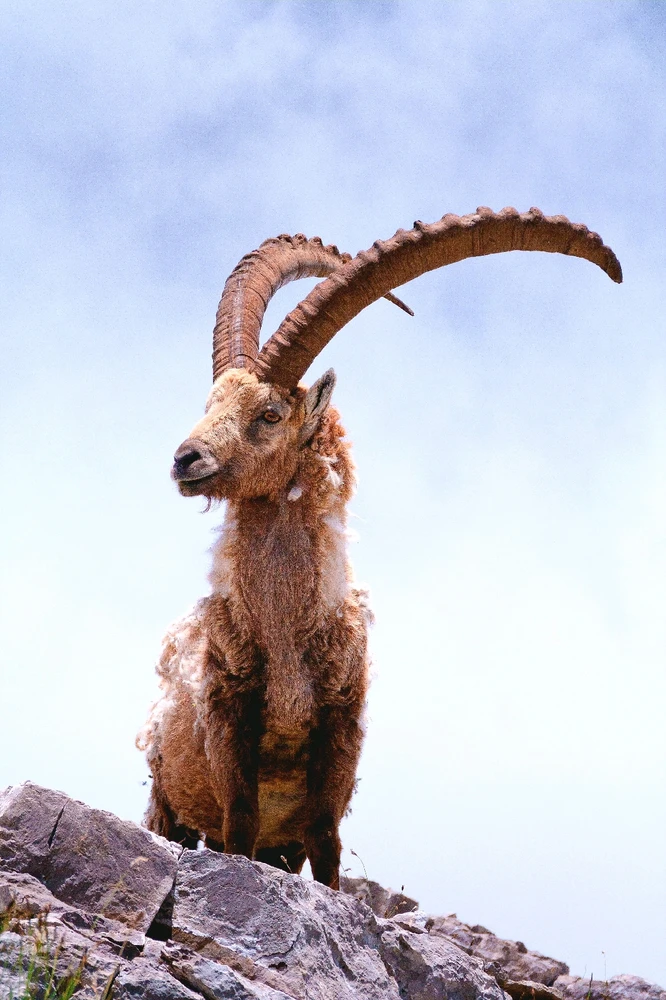 Image ajoutée par Gaël