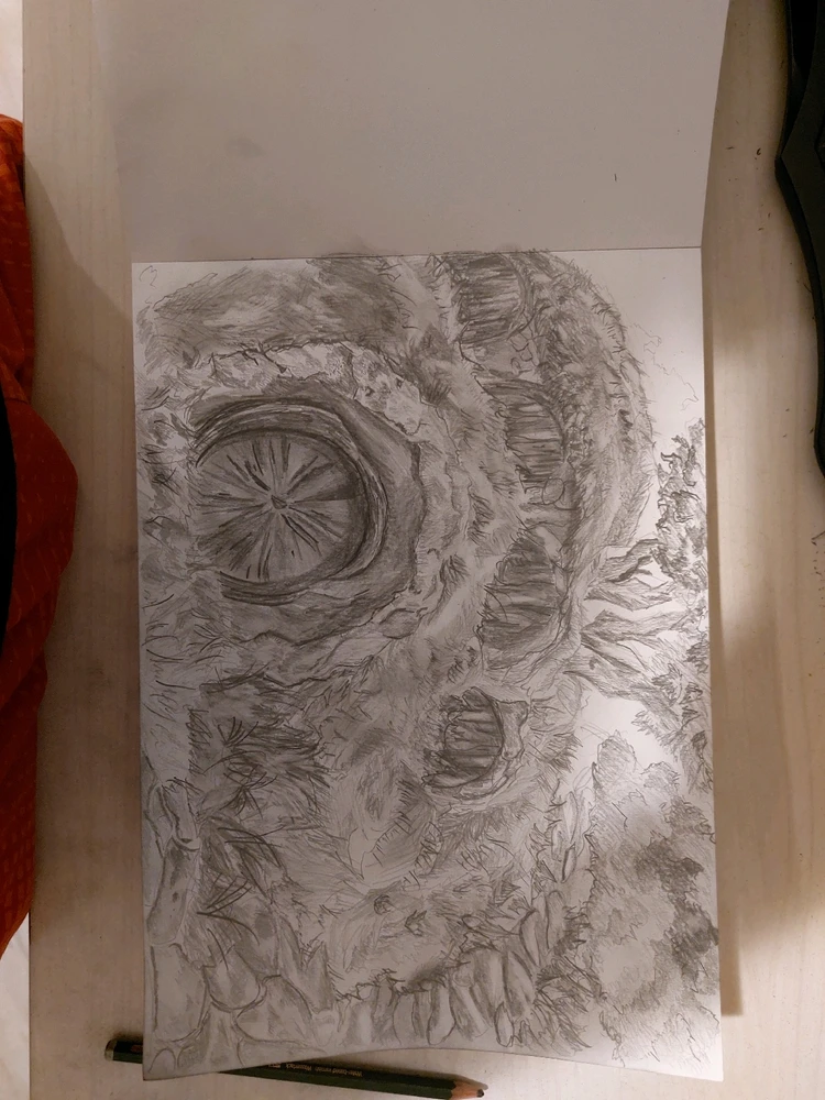 תמונה שהועלתה על ידי Ofri