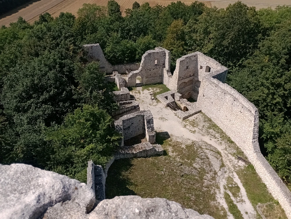 Image uploaded by Mikołaj