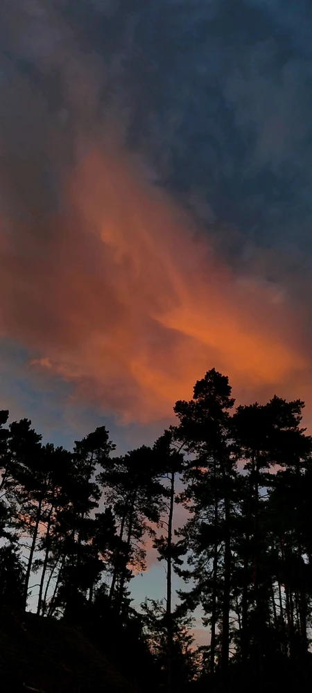 Bild hochgeladen von Güwen