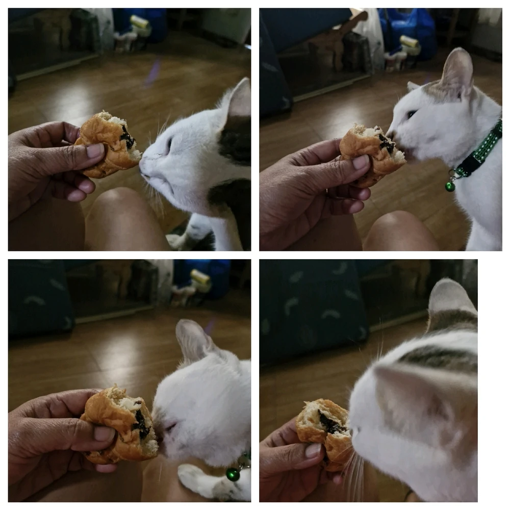 Bild hochgeladen von Liza