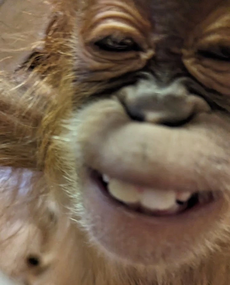 Bence által feltöltött kép