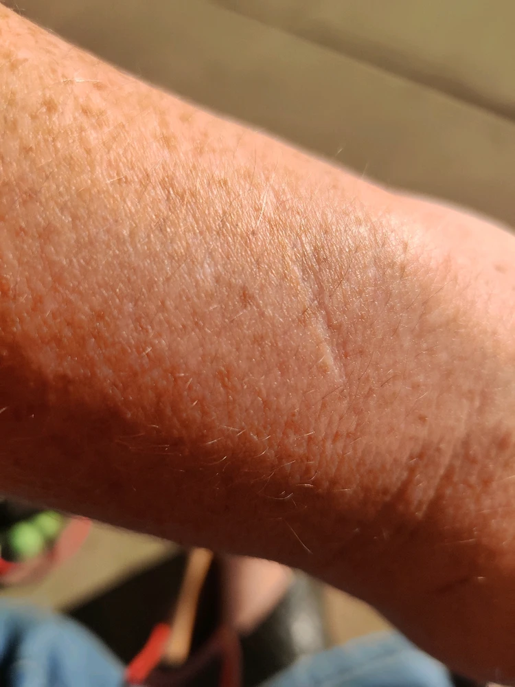 Image uploaded by Evynn