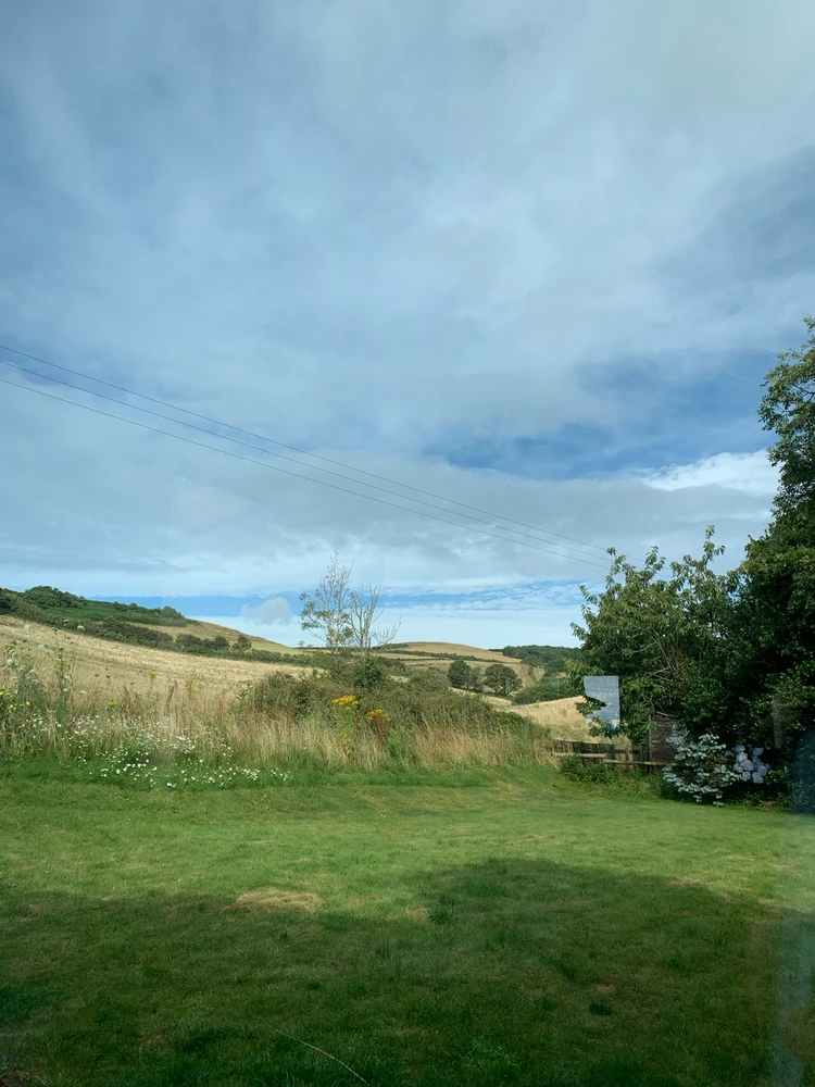 Image uploaded by David