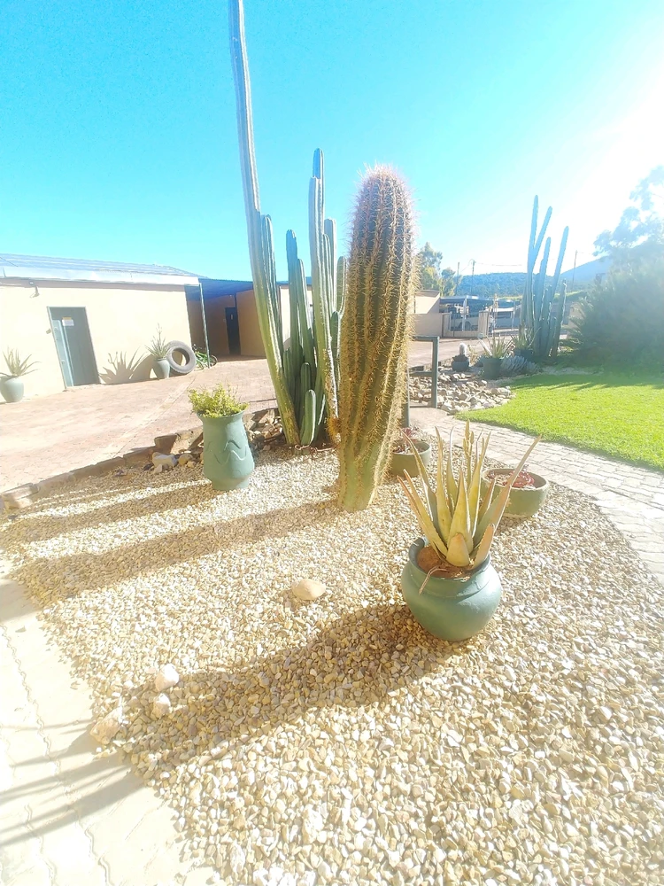 Image uploaded by Sandz