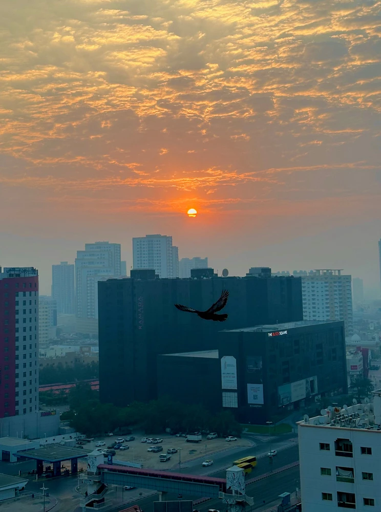UAE Ajman sunset city buildings cars flying bird and beautiful sky