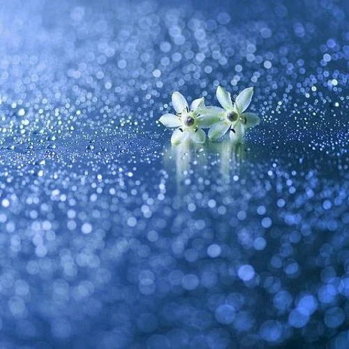 تصویر آپلود شده توسط Em72