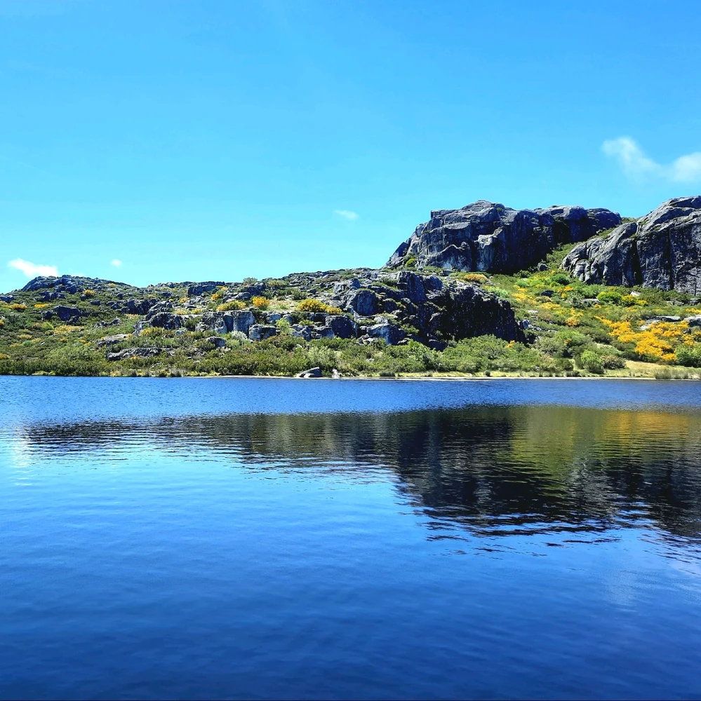 Imagem enviada por M.A.