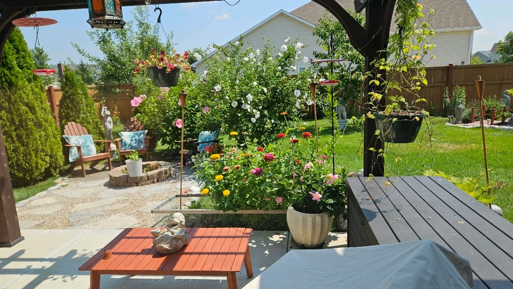 Jojo님이 올린 사진