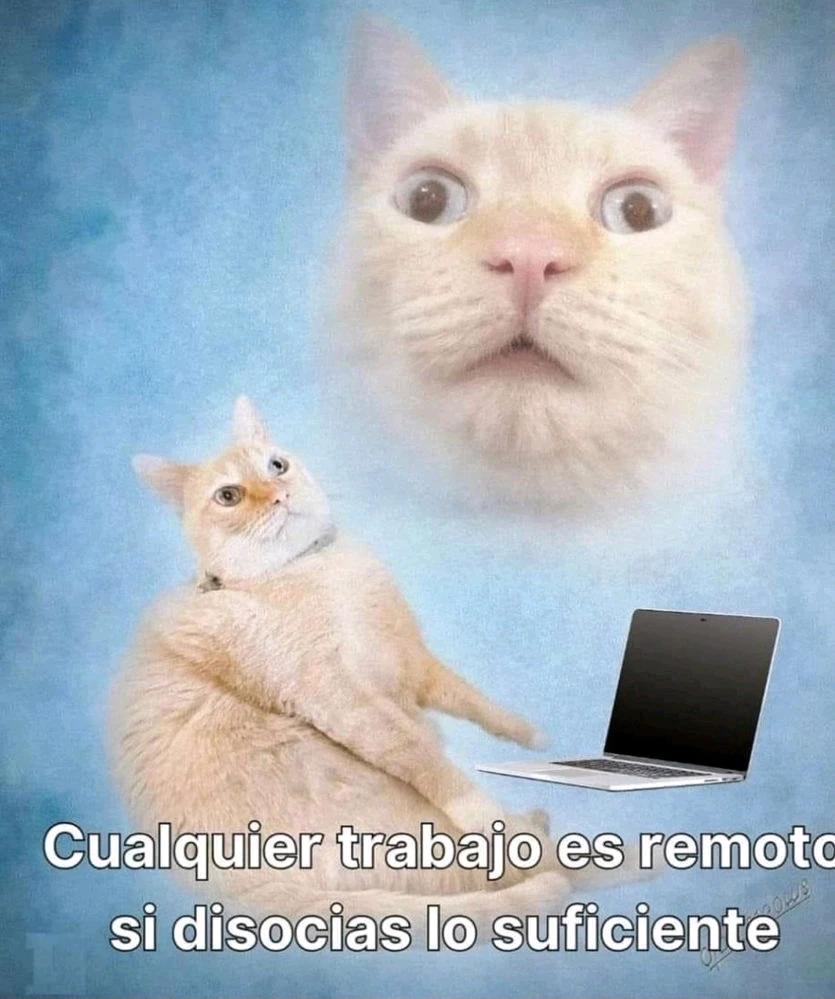 Imagen subida por Gisela