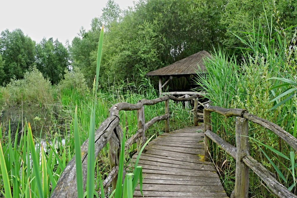 Obrázek nahrál Daniel Kovář