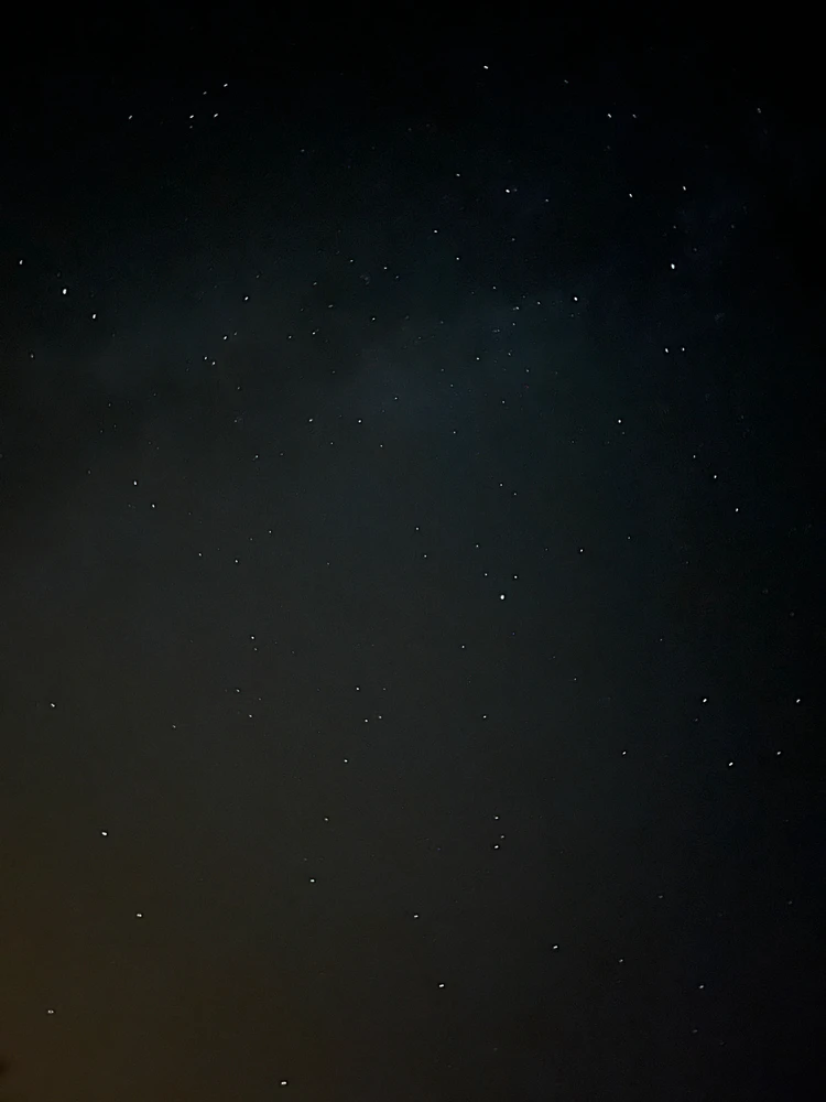 Vendy its not my Name님이 올린 사진