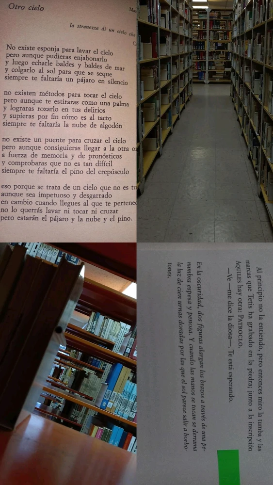 Liss님이 올린 사진