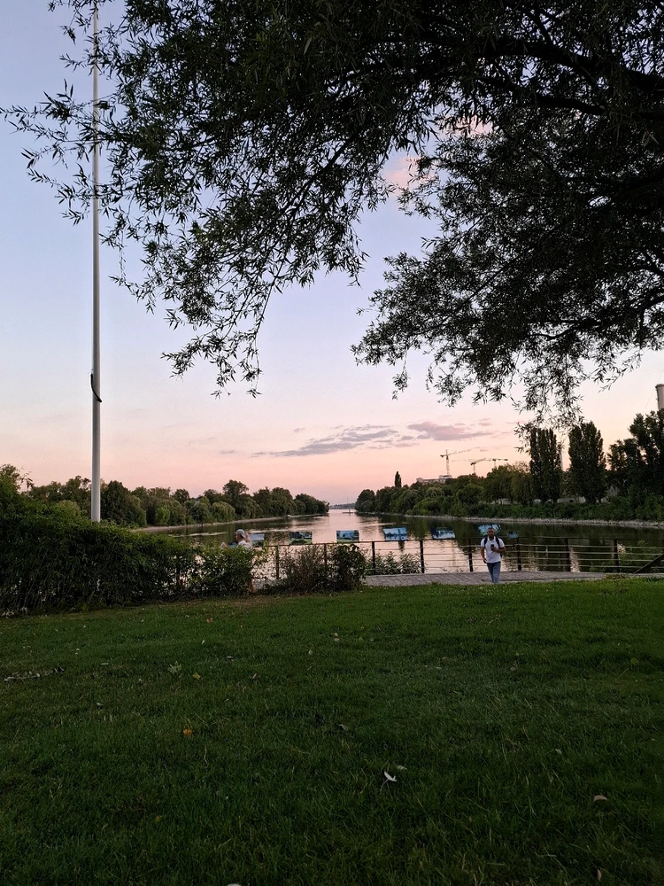 I-upload ni Rona ang larawan