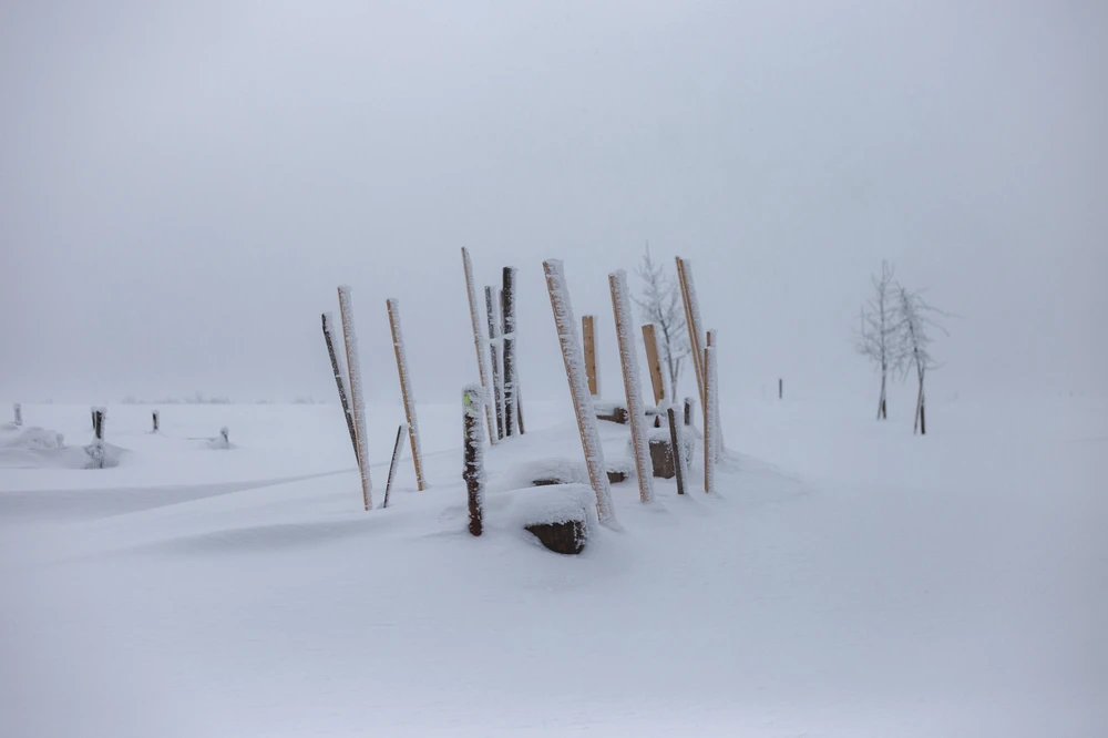 Obrázek nahrál Filip