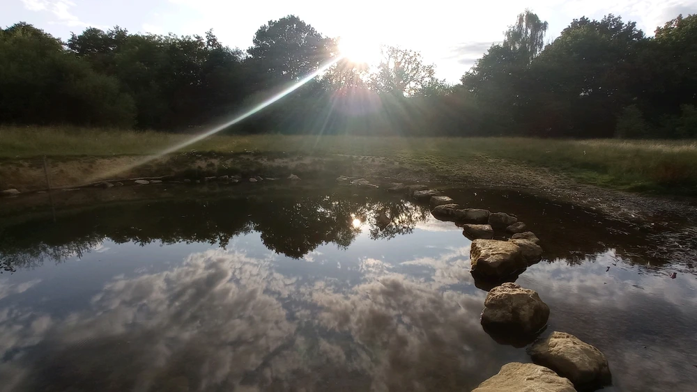 Image uploaded by Laura