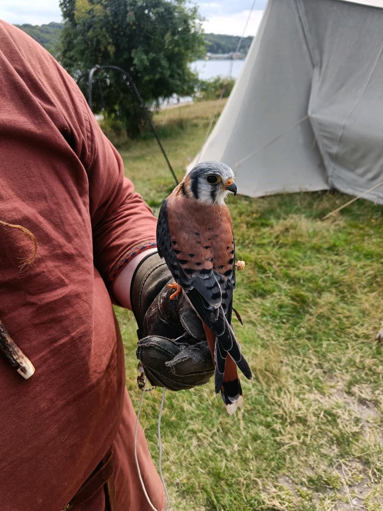 Billede uploadet af Andreas