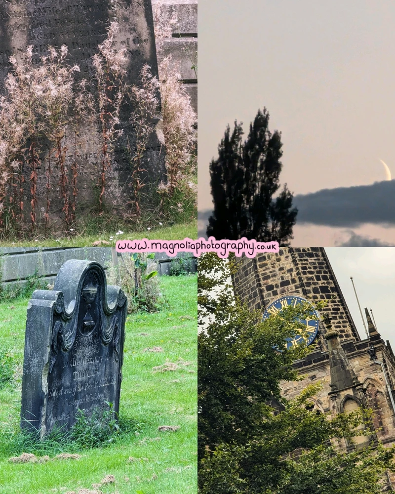 Image uploaded by Sarah